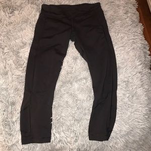 Black pace rival crop